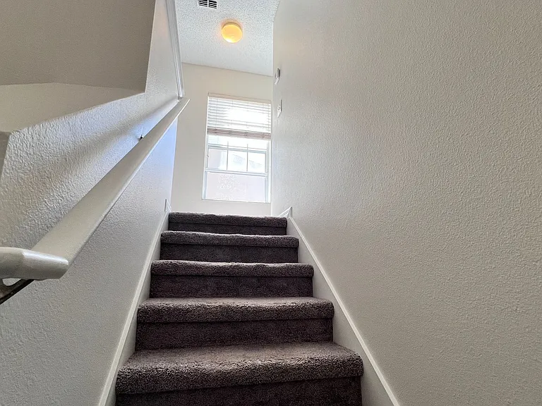 3548 Peppervine Dr — Photo 20