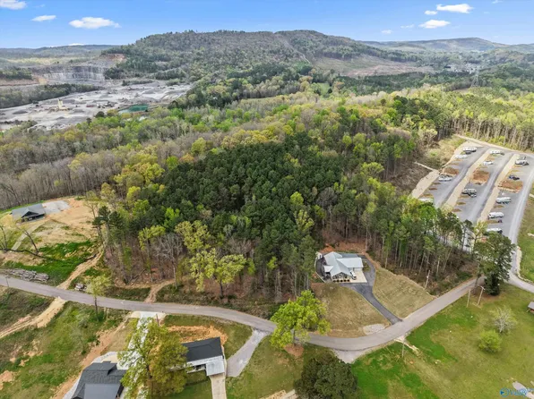 19 Adventure Rd, Guntersville, AL 35976
