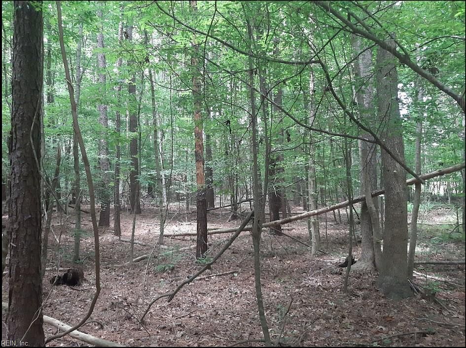 2nd image of 6576 Blackwater Rd