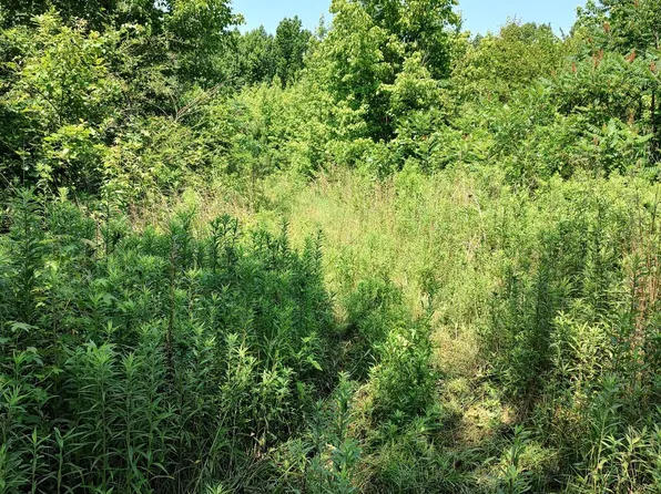 Tubbs Hill Rd #0, Oakman, AL 35579