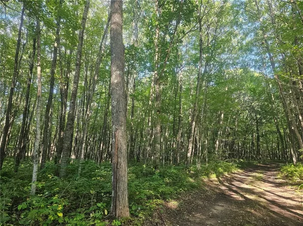 Lot 2 Ken Can Lane, Webster, WI 54893