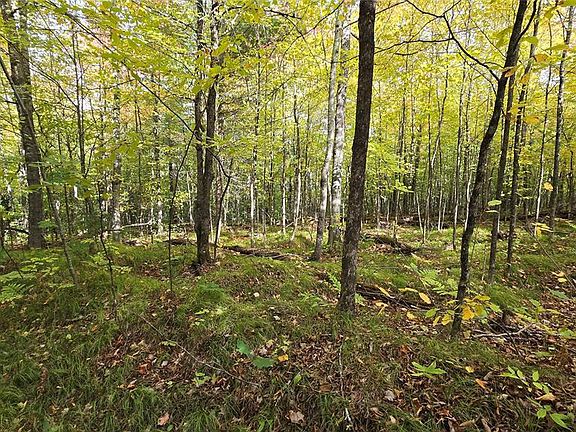 2nd image of Lot 30 Woodcrest Drive