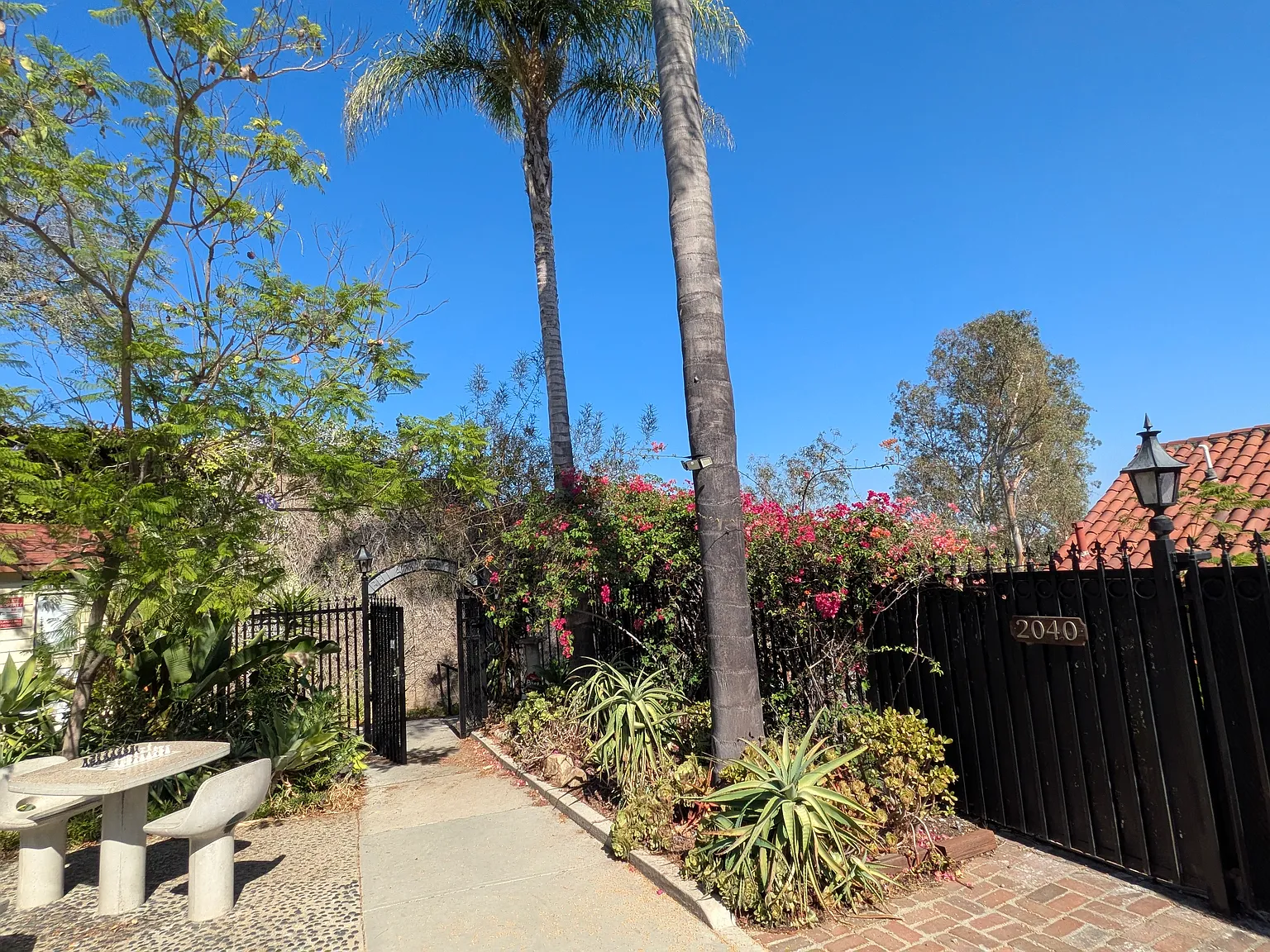 1 bed, 800 sqft, $3,100 — Photo 1