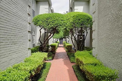4315 Cole Ave #106 Photo 1