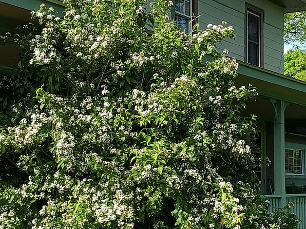 5524 Fleming Rd, Angelica, NY 14709