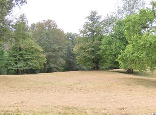 0 Pacific Ave, Wingo, KY 42088