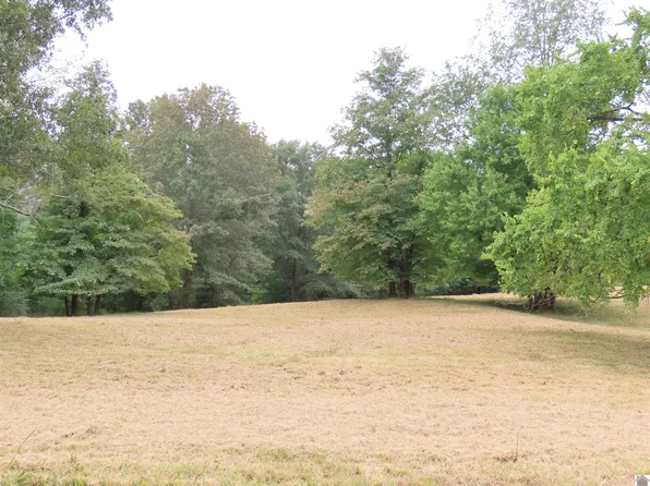 0 Pacific Ave, Wingo, KY 42088