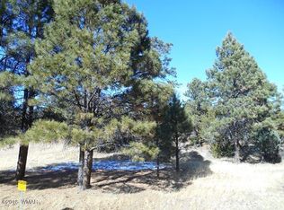 2941 Monica Rd, Overgaard, AZ 85933