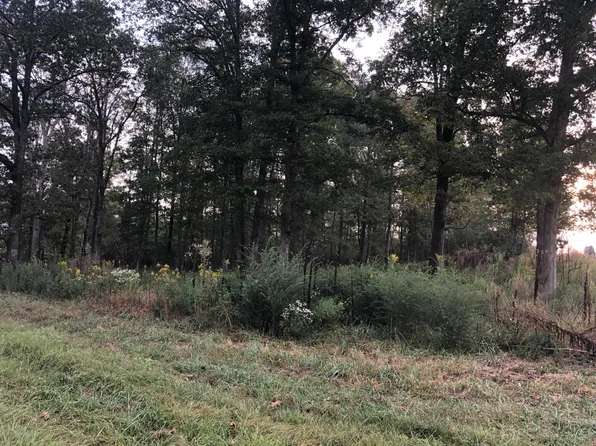 Creekside Ln, Jasper, AL 35503