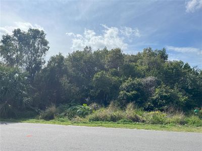 Beau Ct LOT 6, Orange City, FL, 32763