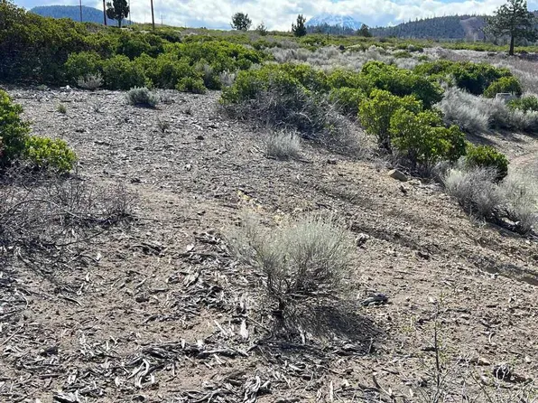 7-2 Black Bear Rd Lot 84, Weed, CA 96094