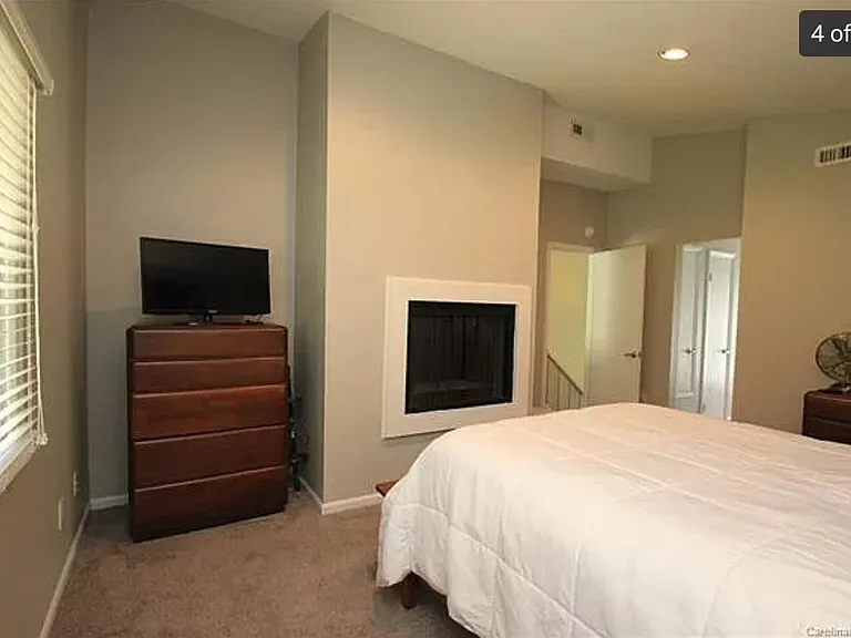 4201 Burning Tree Dr — Photo 4