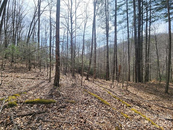 3rd image of 9999 Burnette Reeves Rd