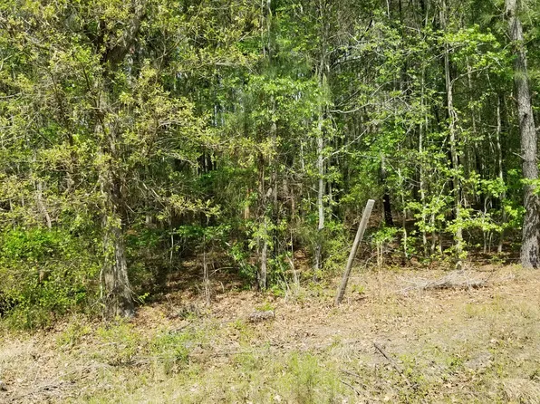 0 Belton Ln, Ruffin, SC 29475