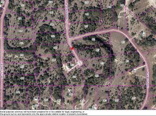 207 Peppergrass Dr, Spring Branch, TX 78070