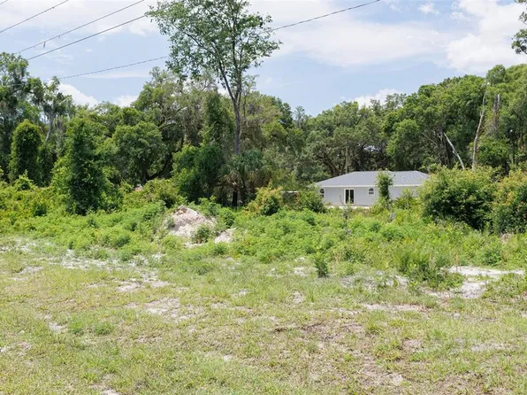 SE 36th Ave Lot 22, Summerfield, FL 34491