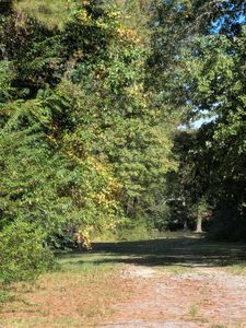 0 Arthur St, Jamestown, SC, 29453