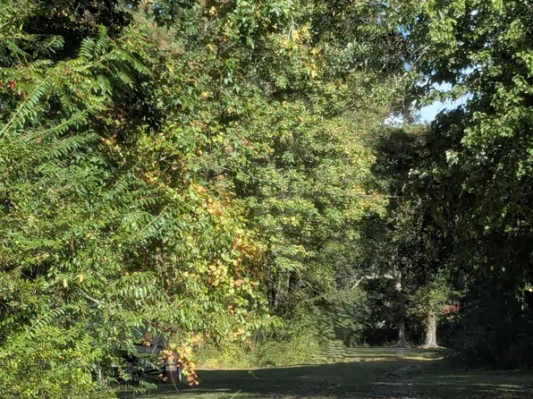 0 Arthur St, Jamestown, SC 29453