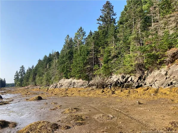 LOT Swimming Pool Rd, Campobello Island, NB E5E 1H5