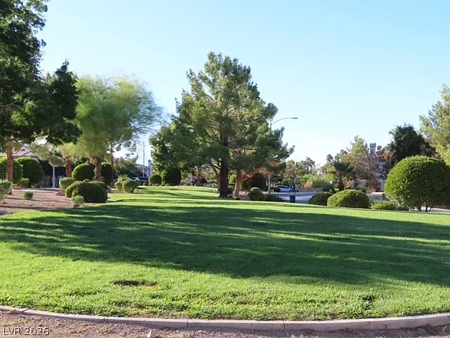 1623 Cave Spring Dr — Photo 5