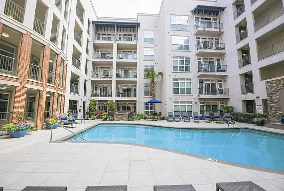 1 bed, 1000 sqft, $3,800 — Photo 2