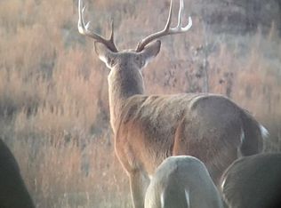 3167 Fairview Rd, Salem, AR 72576