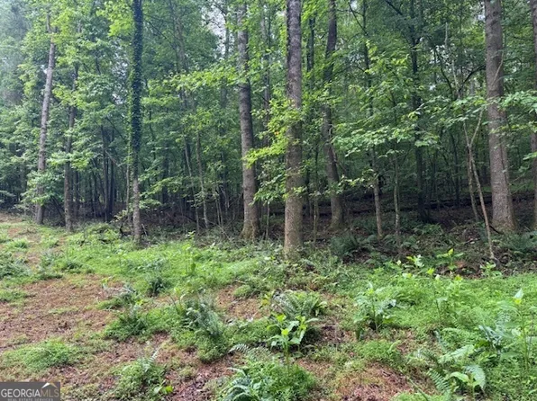 32 Johnson Mill Rd, Ellijay, GA 30536