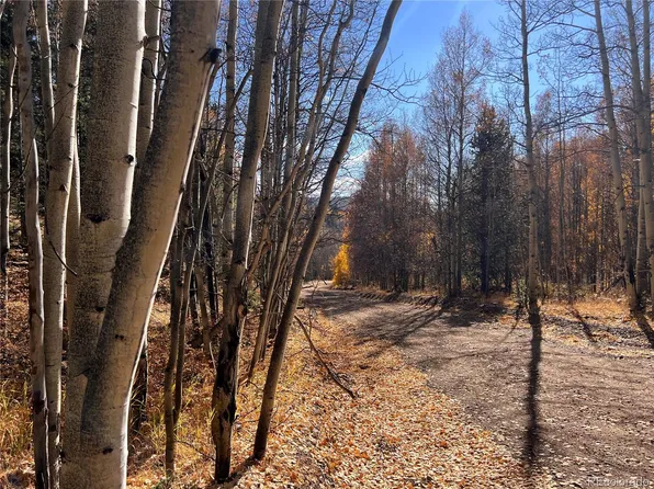 Gardiner Road, Fort Garland, CO 81133
