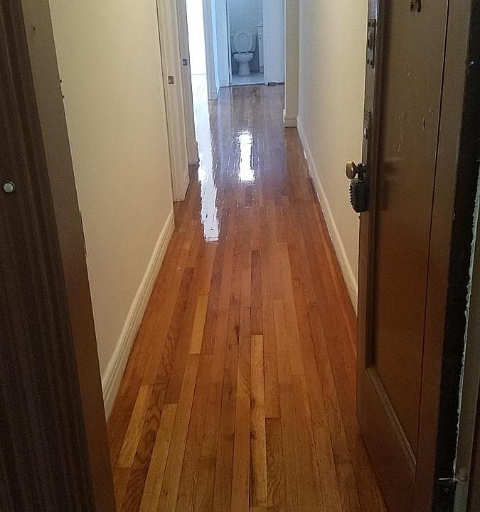 2nd image of 1255 Puritan Ave #Cats