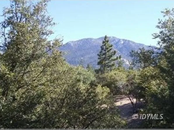 Golden Rod, Idyllwild, CA 92549