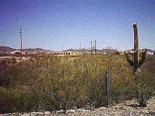 5th image of 7825 N Quail Park Pl #0