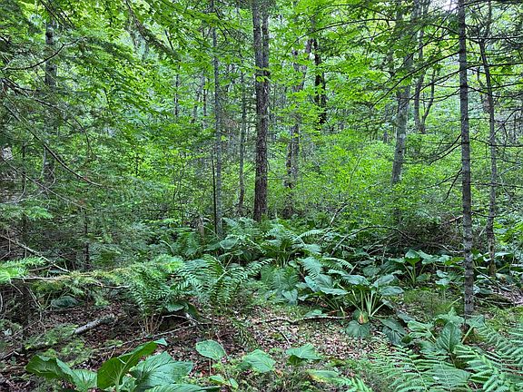 5th image of Lot #40 Route 17 (Augusta Road)