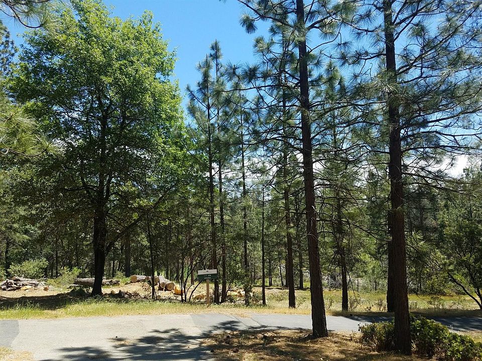 2nd image of 1602 The Point Rd