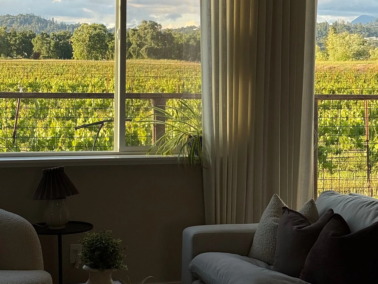 Vineyard View 3 Bedroom Home in Safe neighborhood — Photo 1