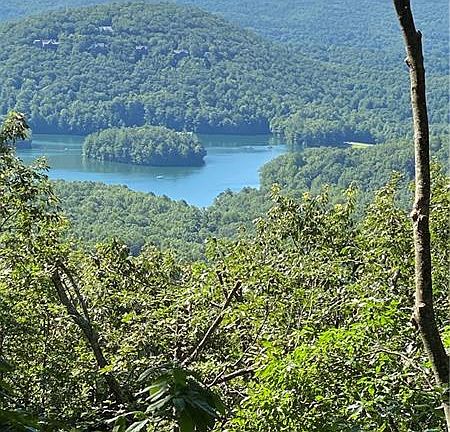 2nd image of 47 Sanderlin Mountain Dr