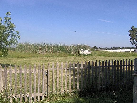Pasture