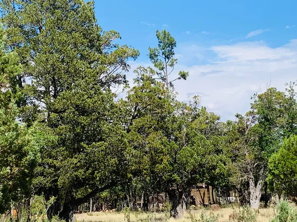 2277 Pine Crest Dr, Happy Jack, AZ 86024