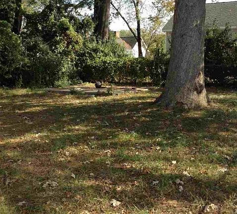 2nd image of 345 Bynum Ave