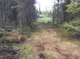 Mile 117.7 Richardson Hwy, Glennallen, AK 99588