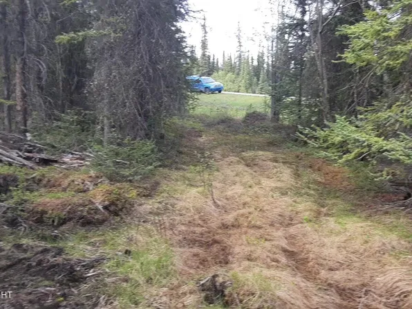Mile 117.7 Richardson Hwy, Glennallen, AK 99588