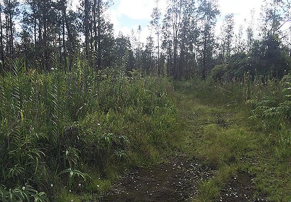 2nd image of Road 3 Hopue Lot 3167