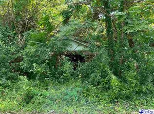 610 1/2 Carver St, Florence, SC 29501