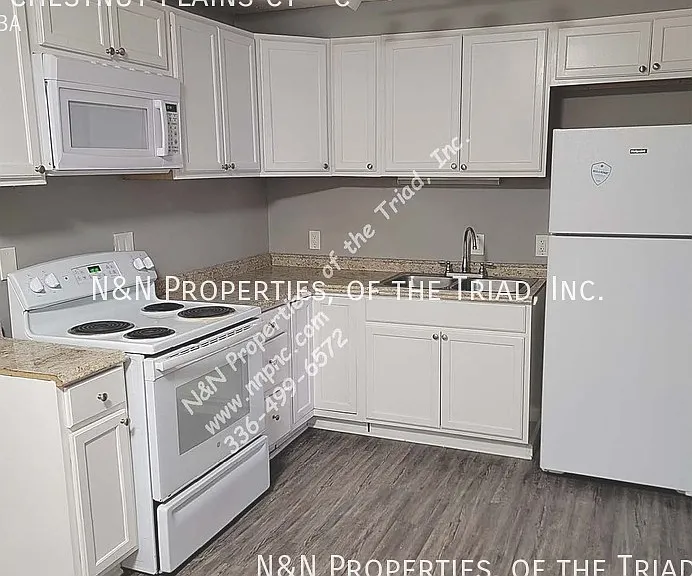 1396 Chestnut Plains Ct #C — Photo 1