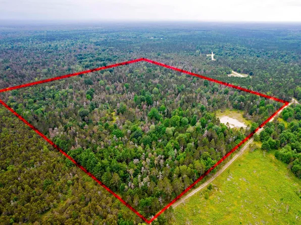 Island Lake Rd NW, Kalkaska, MI 49646