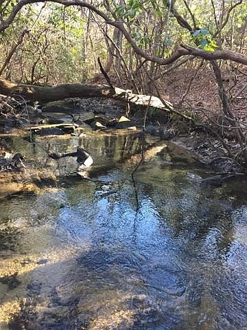1st image of Perry Creek Dr