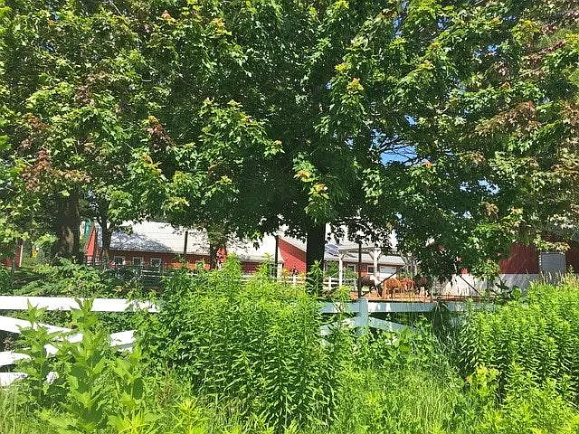 1850 N Clark St #2307 — Photo 32
