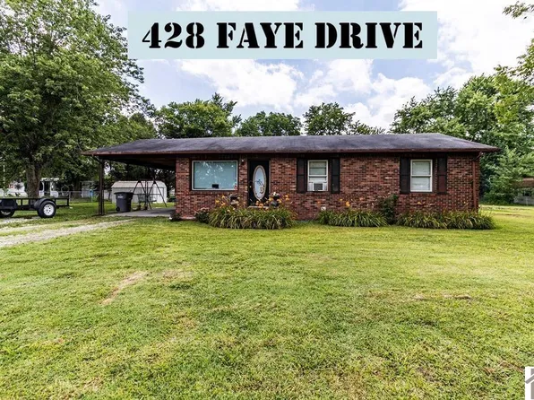 428 Faye Dr, Ledbetter, KY 42058