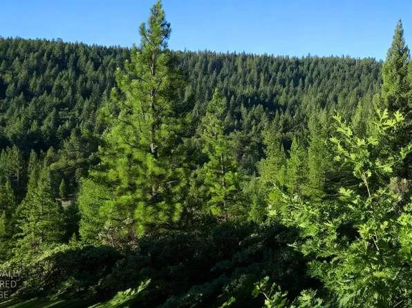 Lee Rd, Quincy, CA 95971