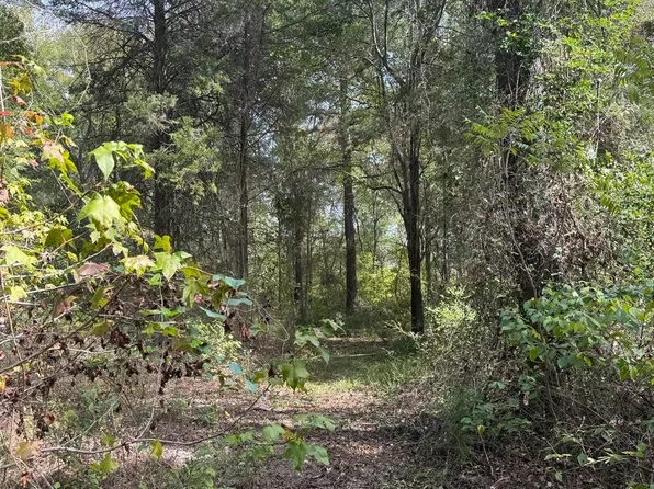 County Road 2766, Mineola, TX 75773
