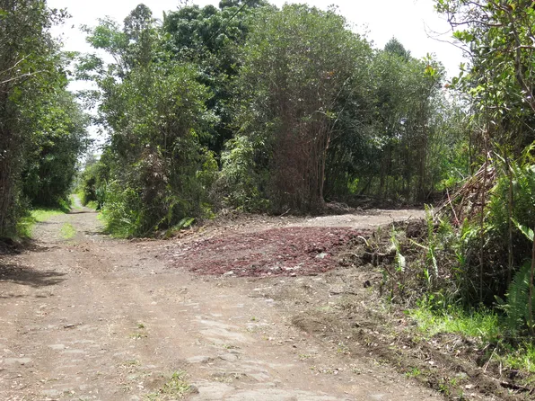 Road 11 Pulelehua Lot 5938, Kurtistown, HI 96760